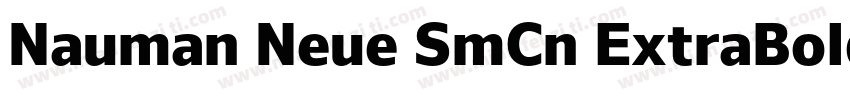 Nauman Neue SmCn ExtraBold字体转换